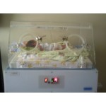 Inkubator Bayi Digital Standart Incubator