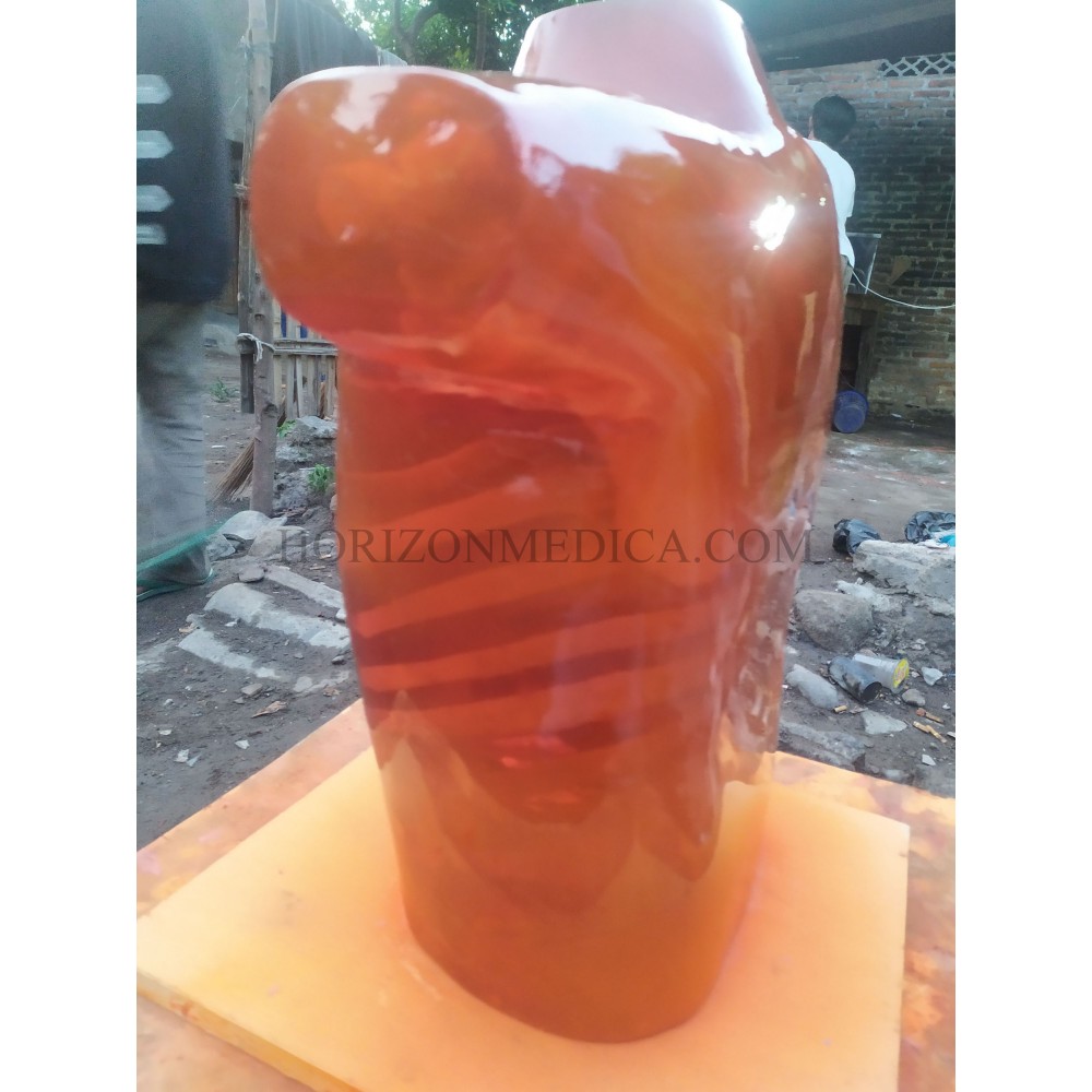 Phantom X-ray Dada atau Thorax