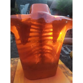 Phantom X-ray Dada atau Thorax