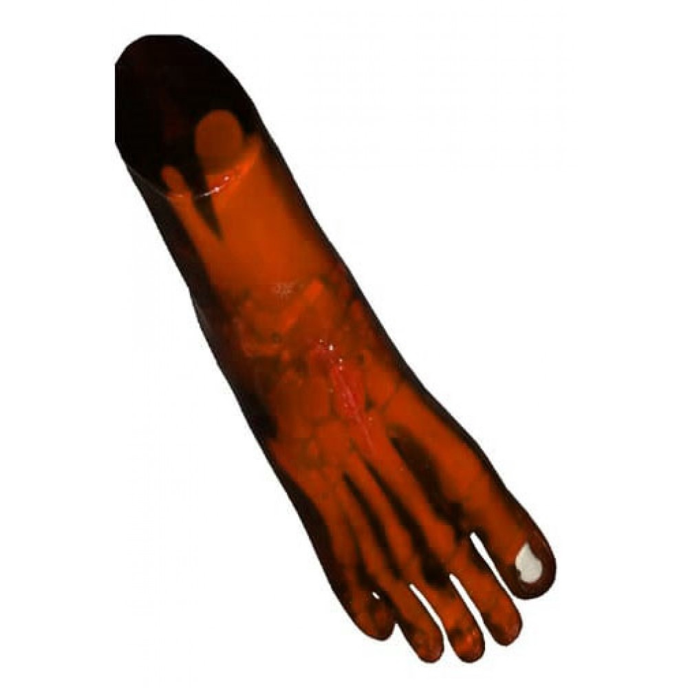 Phantom X-ray Kaki atau Pedis