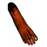 Phantom X-ray Kaki atau Pedis